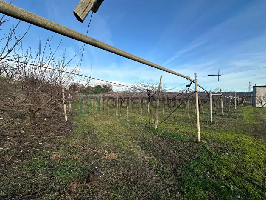 Immagine 23 di Terreno in vendita  in LOCALITA' CA` GINI a Colognola Ai Colli