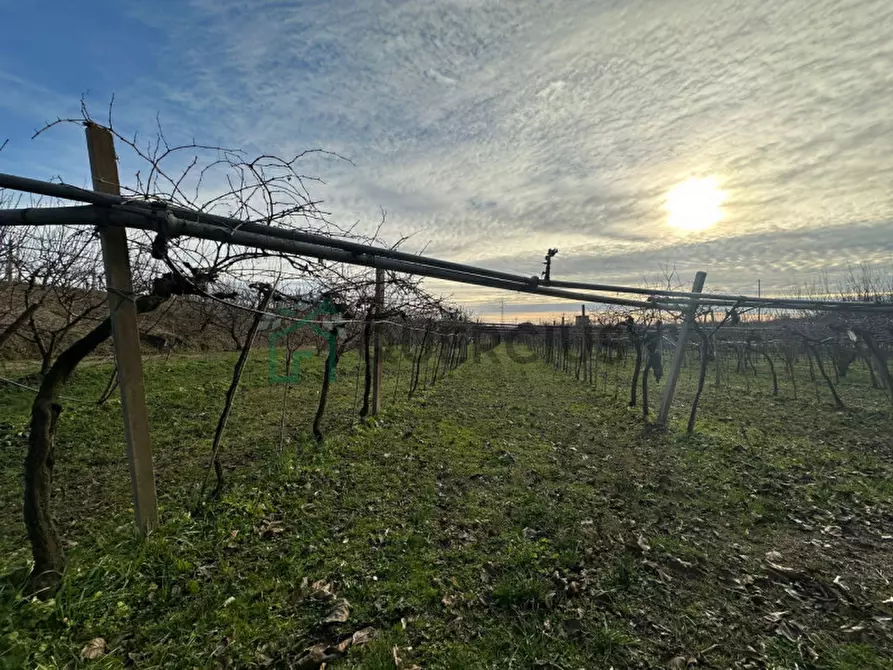 Immagine 24 di Terreno in vendita  in LOCALITA' CA` GINI a Colognola Ai Colli