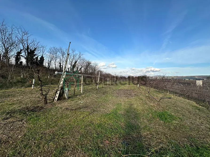 Immagine 26 di Terreno in vendita  in LOCALITA' CA` GINI a Colognola Ai Colli