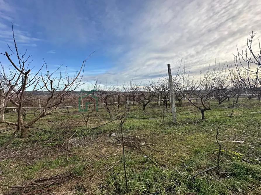 Immagine 27 di Terreno in vendita  in LOCALITA' CA` GINI a Colognola Ai Colli