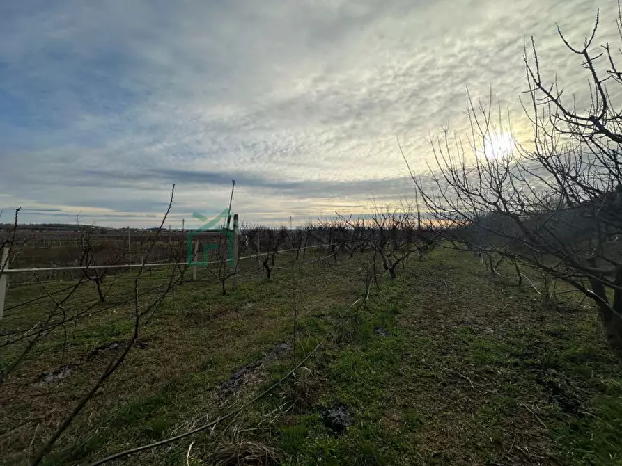Immagine 28 di Terreno in vendita  in LOCALITA' CA` GINI a Colognola Ai Colli