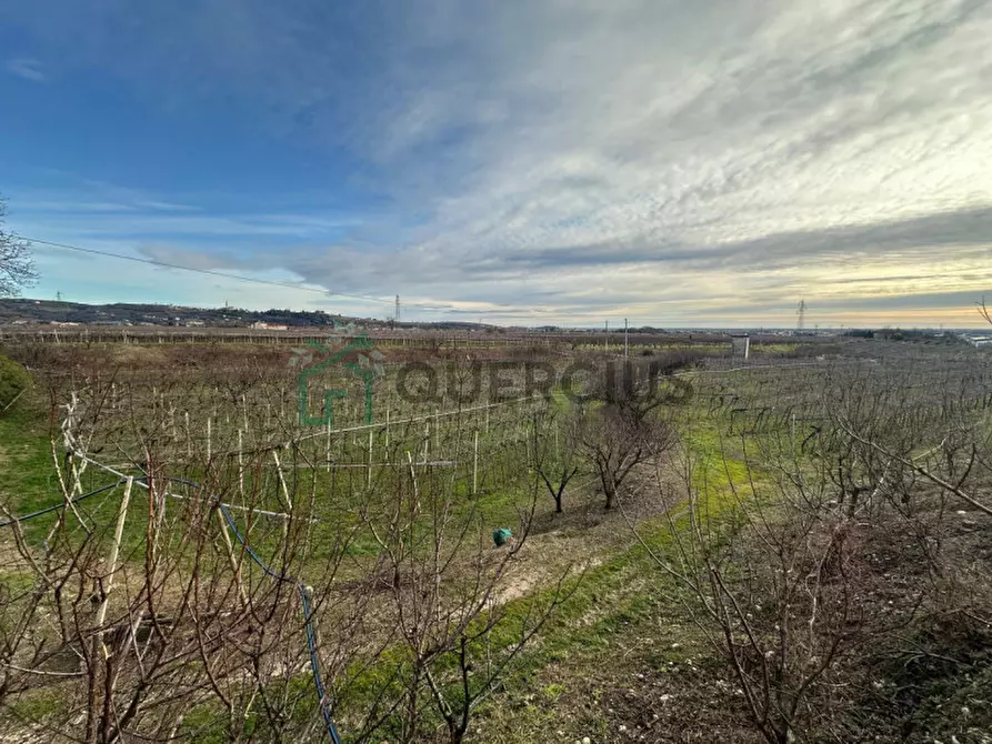 Immagine 29 di Terreno in vendita  in LOCALITA' CA` GINI a Colognola Ai Colli