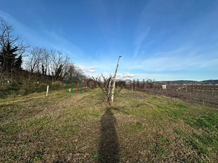 Immagine 30 di Terreno in vendita  in LOCALITA' CA` GINI a Colognola Ai Colli