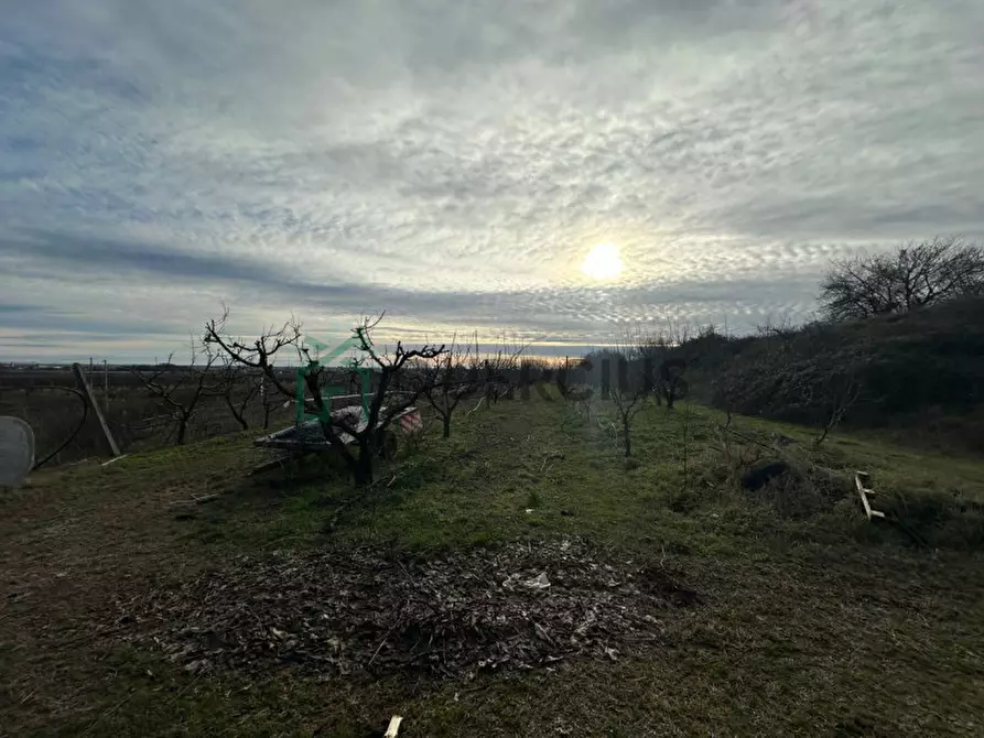 Immagine 33 di Terreno in vendita  in LOCALITA' CA` GINI a Colognola Ai Colli