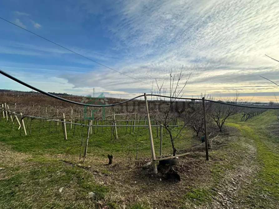 Immagine 34 di Terreno in vendita  in LOCALITA' CA` GINI a Colognola Ai Colli