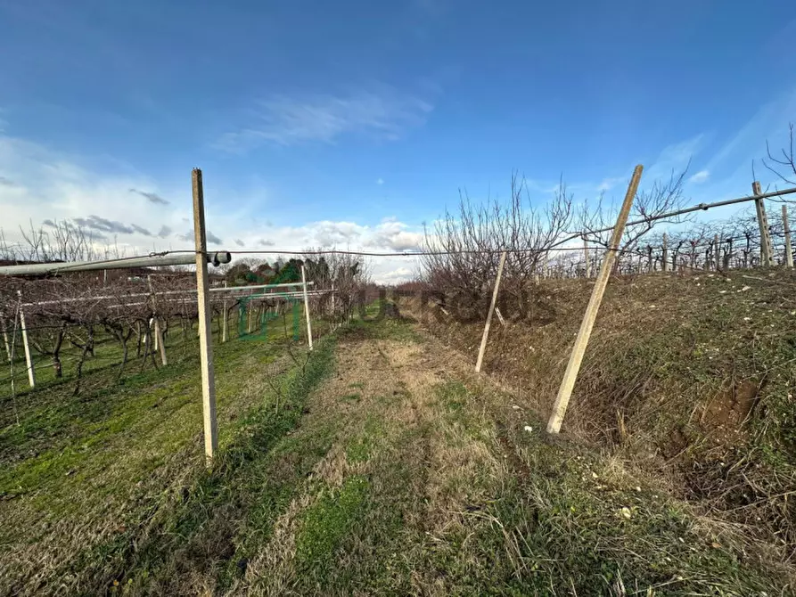 Immagine 35 di Terreno in vendita  in LOCALITA' CA` GINI a Colognola Ai Colli