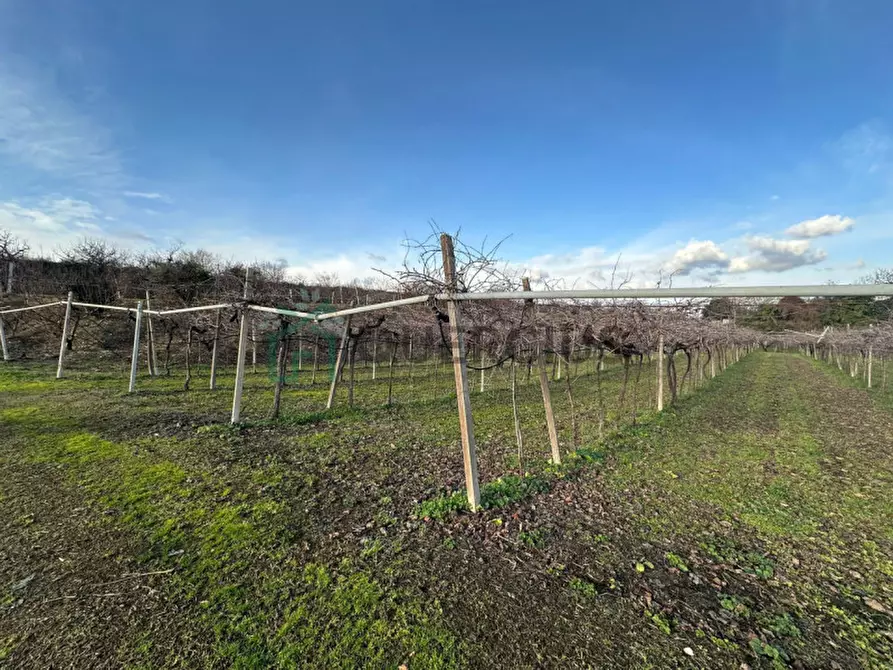 Immagine 36 di Terreno in vendita  in LOCALITA' CA` GINI a Colognola Ai Colli