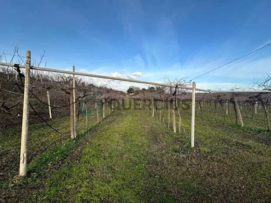 Immagine 37 di Terreno in vendita  in LOCALITA' CA` GINI a Colognola Ai Colli