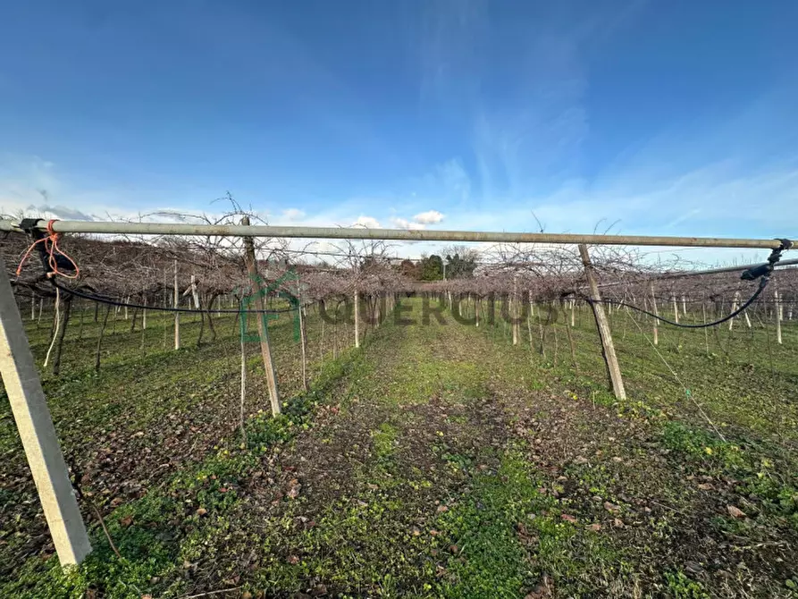 Immagine 38 di Terreno in vendita  in LOCALITA' CA` GINI a Colognola Ai Colli