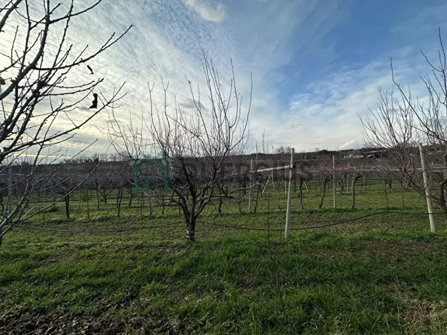 Immagine 39 di Terreno in vendita  in LOCALITA' CA` GINI a Colognola Ai Colli