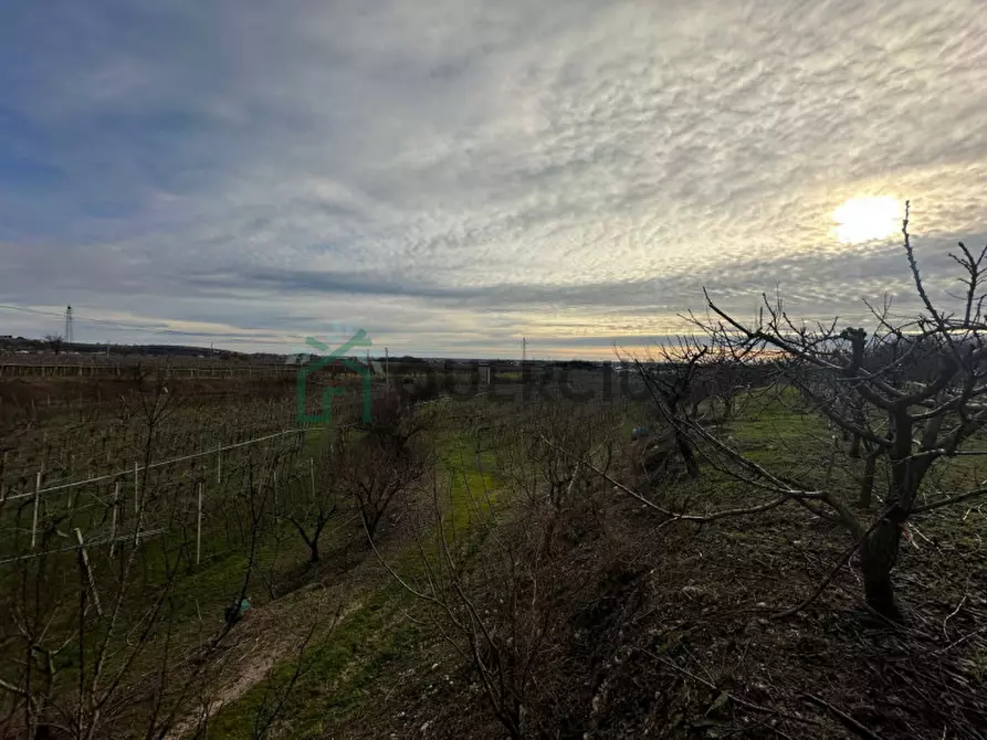 Immagine 40 di Terreno in vendita  in LOCALITA' CA` GINI a Colognola Ai Colli