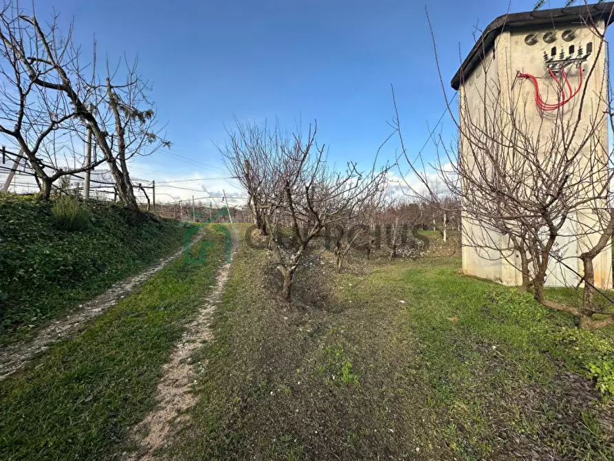 Immagine 41 di Terreno in vendita  in LOCALITA' CA` GINI a Colognola Ai Colli