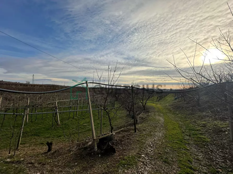 Immagine 42 di Terreno in vendita  in LOCALITA' CA` GINI a Colognola Ai Colli