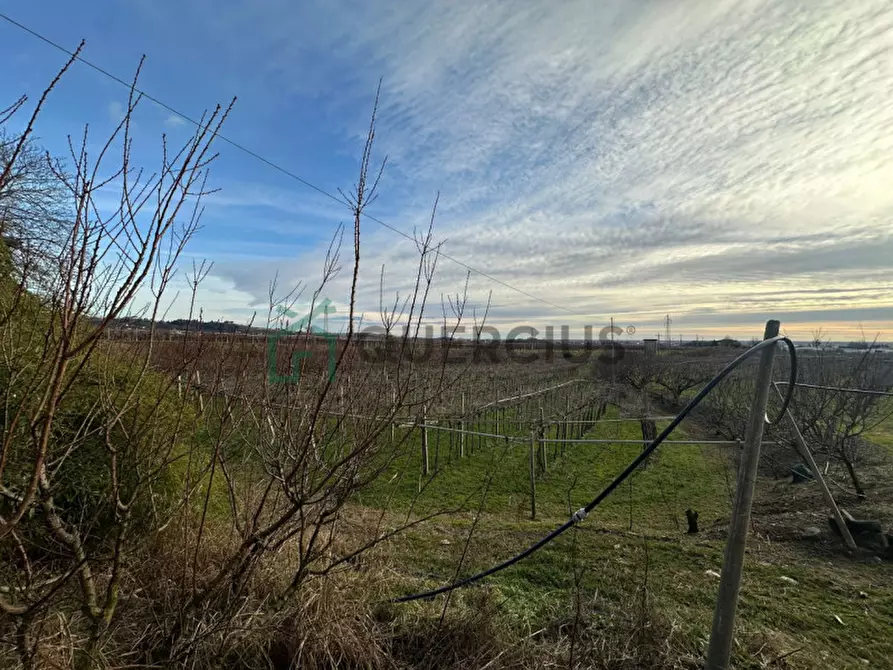 Immagine 43 di Terreno in vendita  in LOCALITA' CA` GINI a Colognola Ai Colli