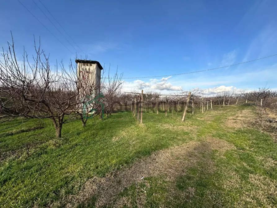 Immagine 44 di Terreno in vendita  in LOCALITA' CA` GINI a Colognola Ai Colli