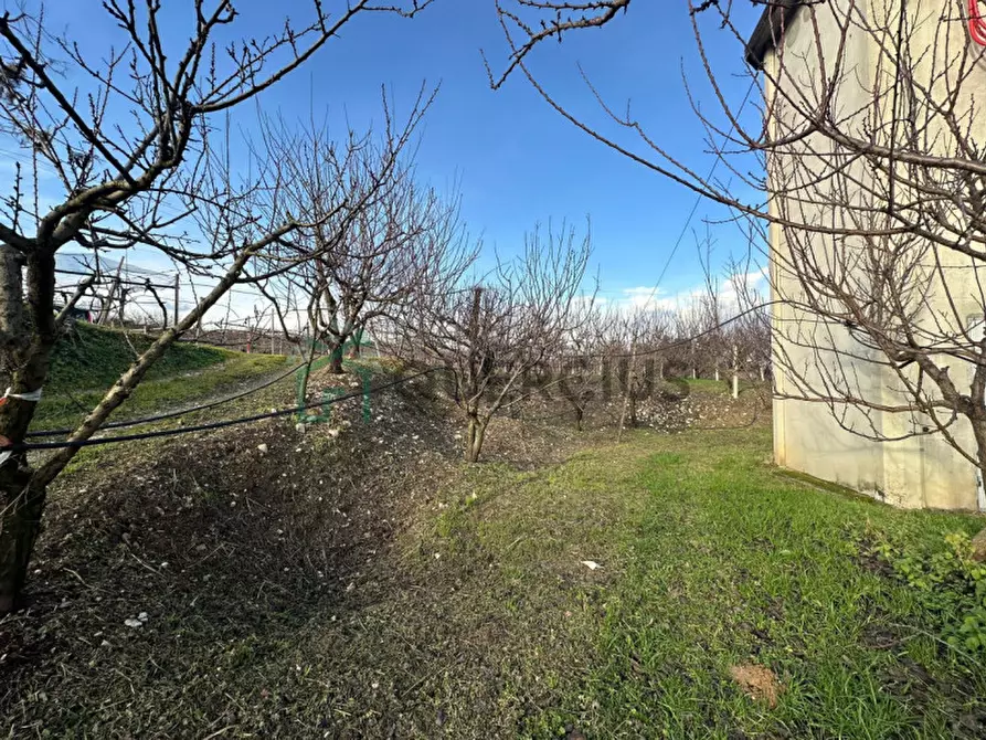 Immagine 45 di Terreno in vendita  in LOCALITA' CA` GINI a Colognola Ai Colli