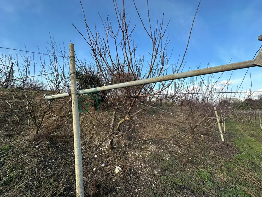 Immagine 46 di Terreno in vendita  in LOCALITA' CA` GINI a Colognola Ai Colli