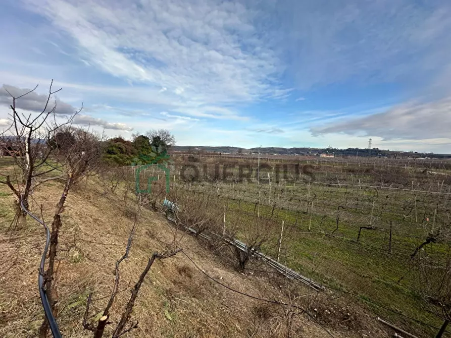 Immagine 47 di Terreno in vendita  in LOCALITA' CA` GINI a Colognola Ai Colli