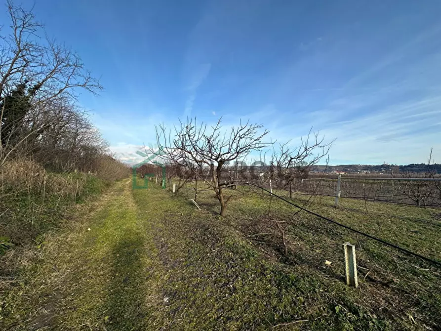 Immagine 49 di Terreno in vendita  in LOCALITA' CA` GINI a Colognola Ai Colli
