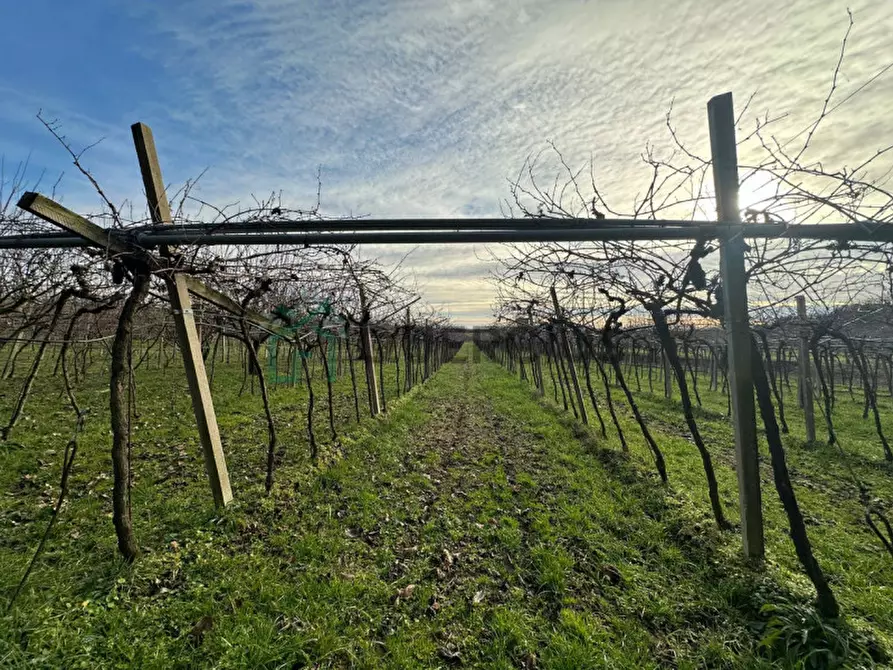 Immagine 50 di Terreno in vendita  in LOCALITA' CA` GINI a Colognola Ai Colli