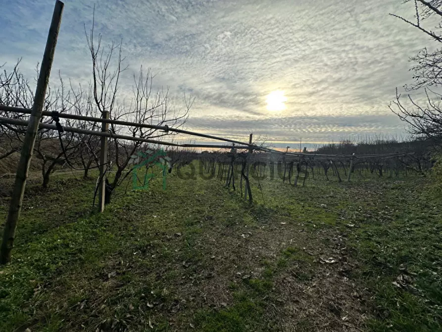 Immagine 51 di Terreno in vendita  in LOCALITA' CA` GINI a Colognola Ai Colli