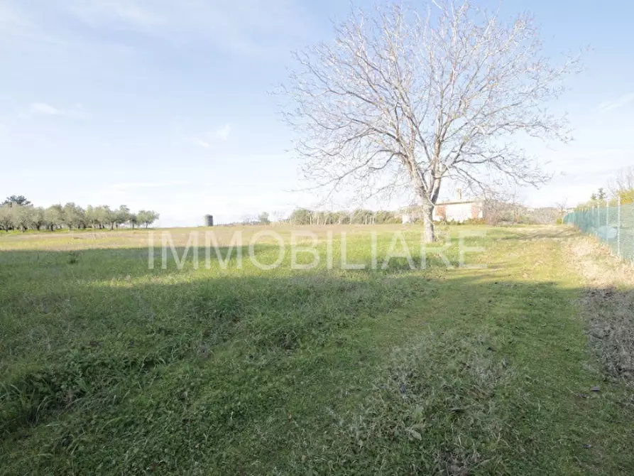 Immagine 1 di Terreno in vendita  in via Sant'Andrea Misano a Misano Adriatico