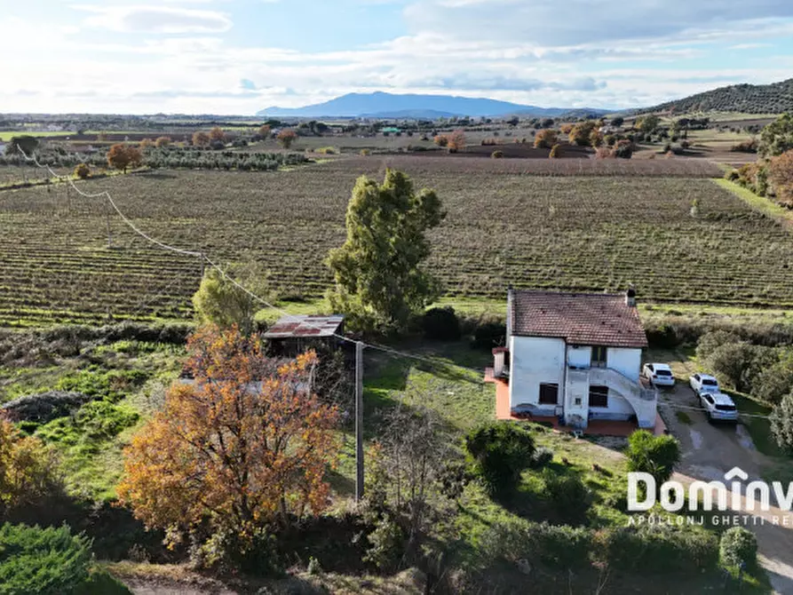 Immagine 2 di Rustico / casale in vendita  in Strada Poggetti a Capalbio