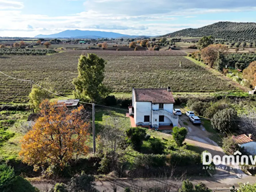 Immagine 3 di Rustico / casale in vendita  in Strada Poggetti a Capalbio