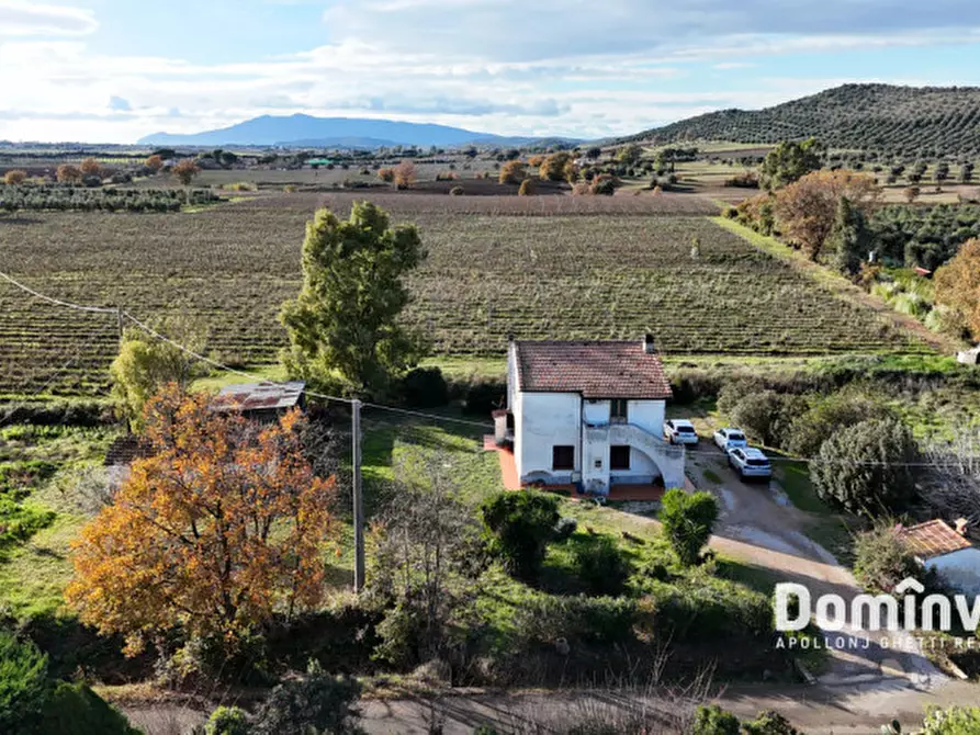 Immagine 4 di Rustico / casale in vendita  in Strada Poggetti a Capalbio