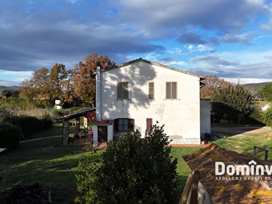 Immagine 5 di Rustico / casale in vendita  in Strada Poggetti a Capalbio