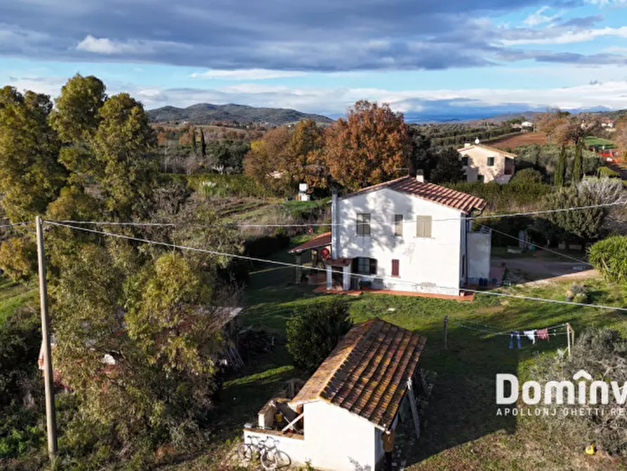 Immagine 6 di Rustico / casale in vendita  in Strada Poggetti a Capalbio