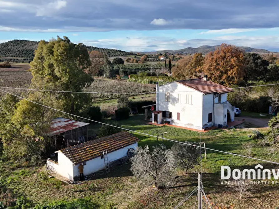 Immagine 7 di Rustico / casale in vendita  in Strada Poggetti a Capalbio