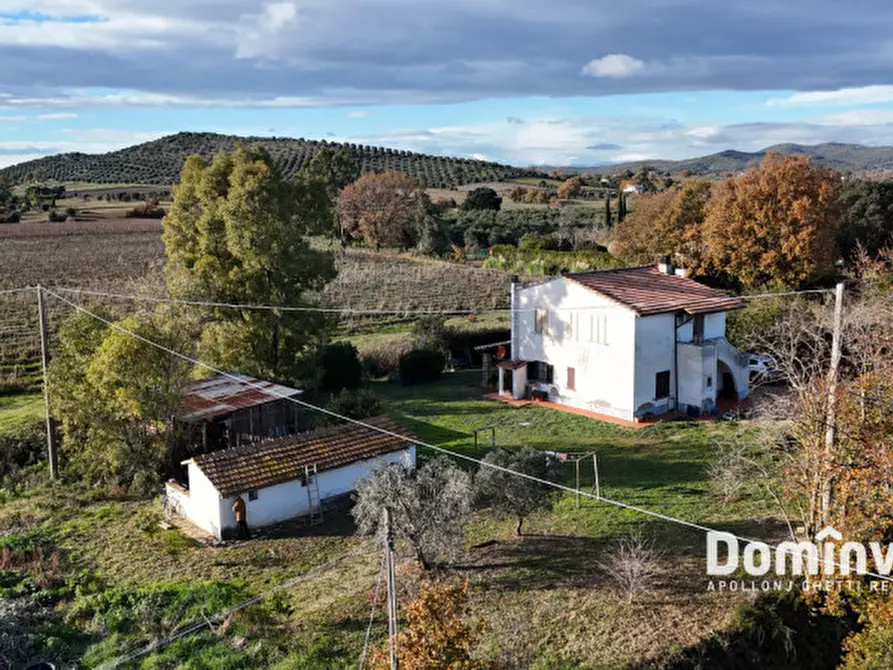 Immagine 8 di Rustico / casale in vendita  in Strada Poggetti a Capalbio
