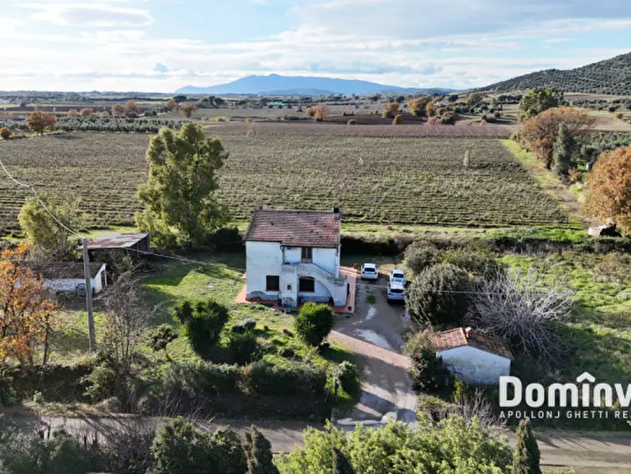 Immagine 9 di Rustico / casale in vendita  in Strada Poggetti a Capalbio