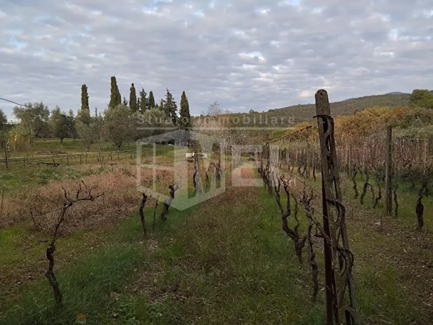 Immagine 16 di Terreno in vendita  in Via delle Fattorie 27 a Livorno