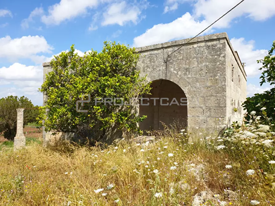 Immagine 4 di Rustico / casale in vendita  in Località Murge di Sotto a Scorrano