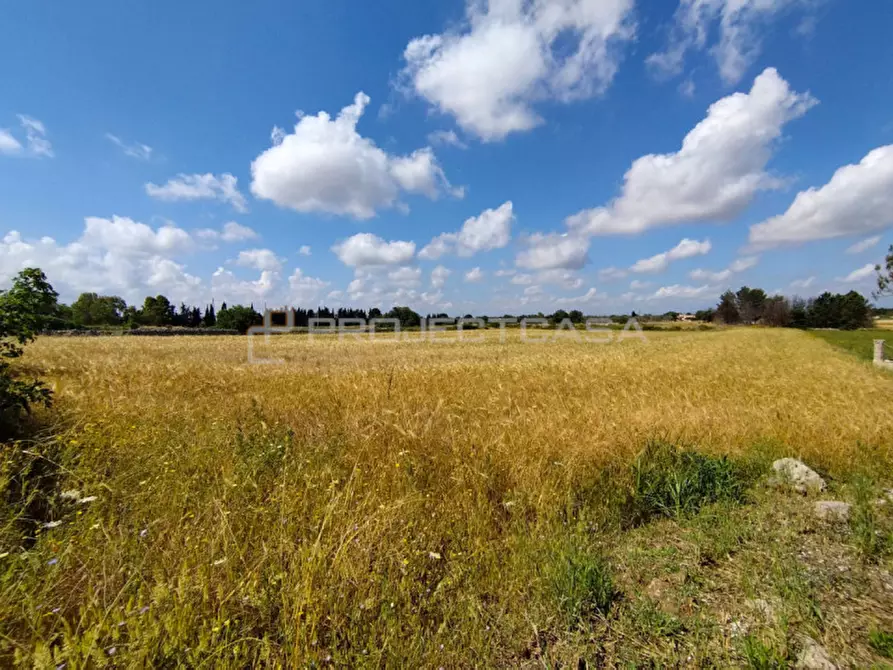 Immagine 8 di Rustico / casale in vendita  in Località Murge di Sotto a Scorrano