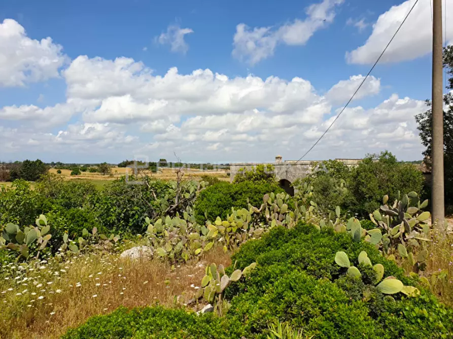 Immagine 9 di Rustico / casale in vendita  in Località Murge di Sotto a Scorrano