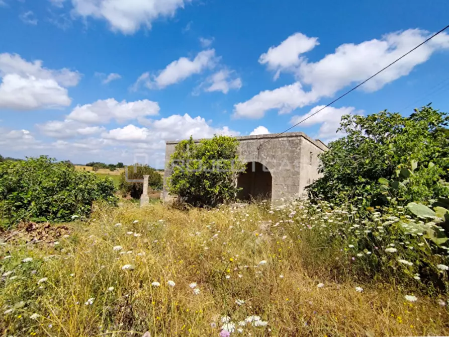 Immagine 11 di Rustico / casale in vendita  in Località Murge di Sotto a Scorrano