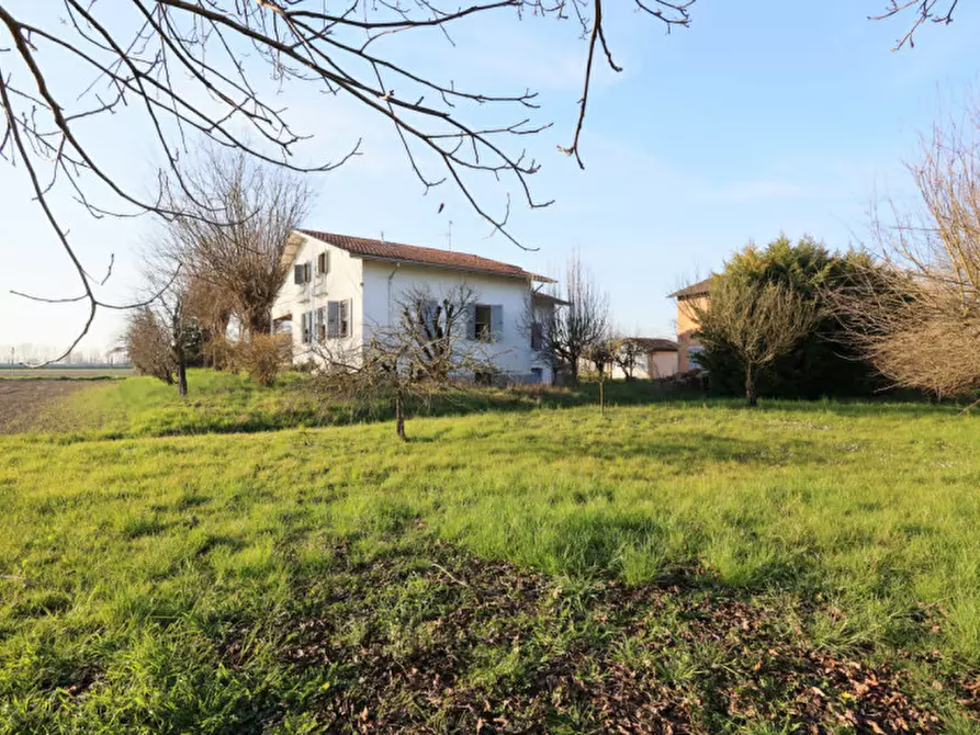 Immagine 30 di Casa bifamiliare in vendita  in via Paganini a Sissa Trecasali