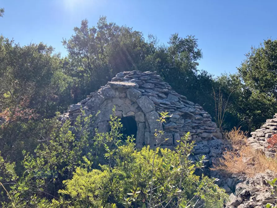 Immagine 2 di Rustico / casale in vendita  in Contrada Selvaggio a Ceglie Messapico