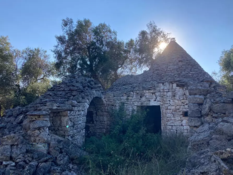 Immagine 1 di Rustico / casale in vendita  in Contrada Capece a Francavilla Fontana