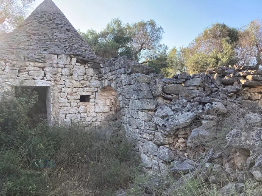 Immagine 3 di Rustico / casale in vendita  in Contrada Capece a Francavilla Fontana