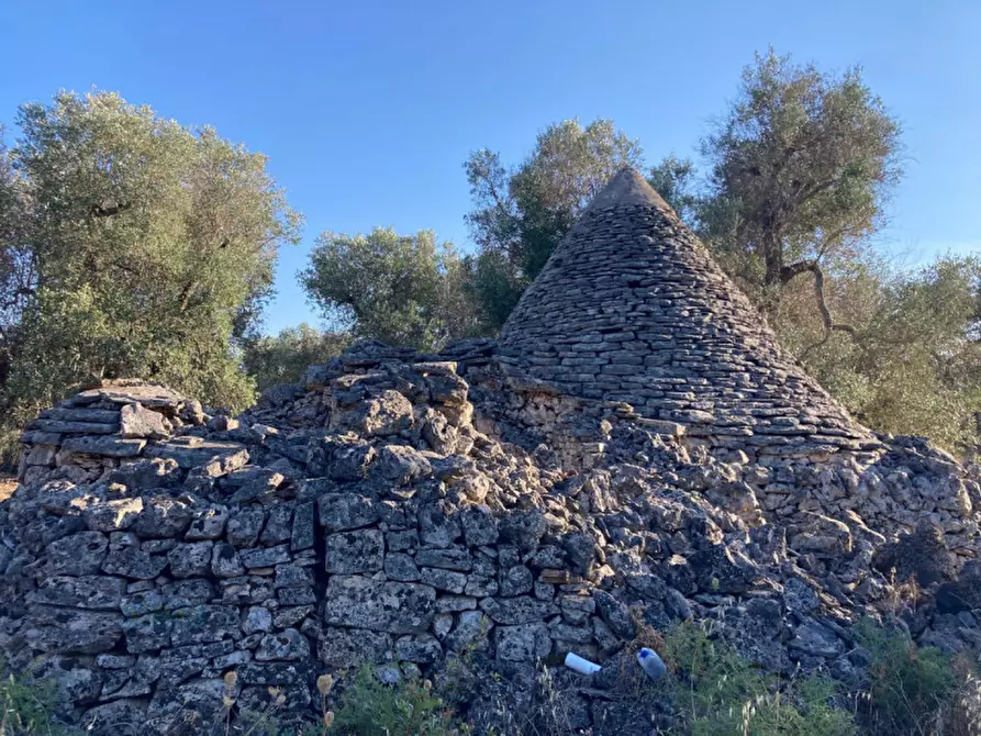 Immagine 4 di Rustico / casale in vendita  in Contrada Capece a Francavilla Fontana