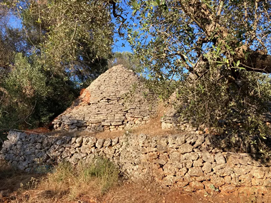Immagine 5 di Rustico / casale in vendita  in Contrada Capece a Francavilla Fontana