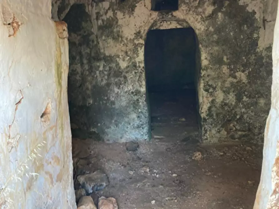 Immagine 6 di Rustico / casale in vendita  in Contrada Capece a Francavilla Fontana