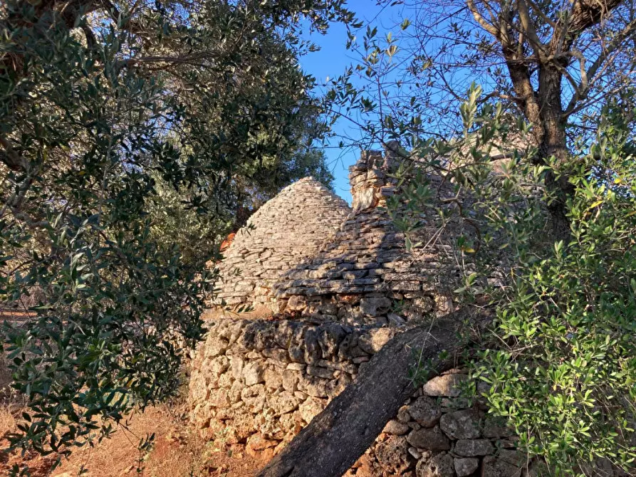 Immagine 7 di Rustico / casale in vendita  in Contrada Capece a Francavilla Fontana