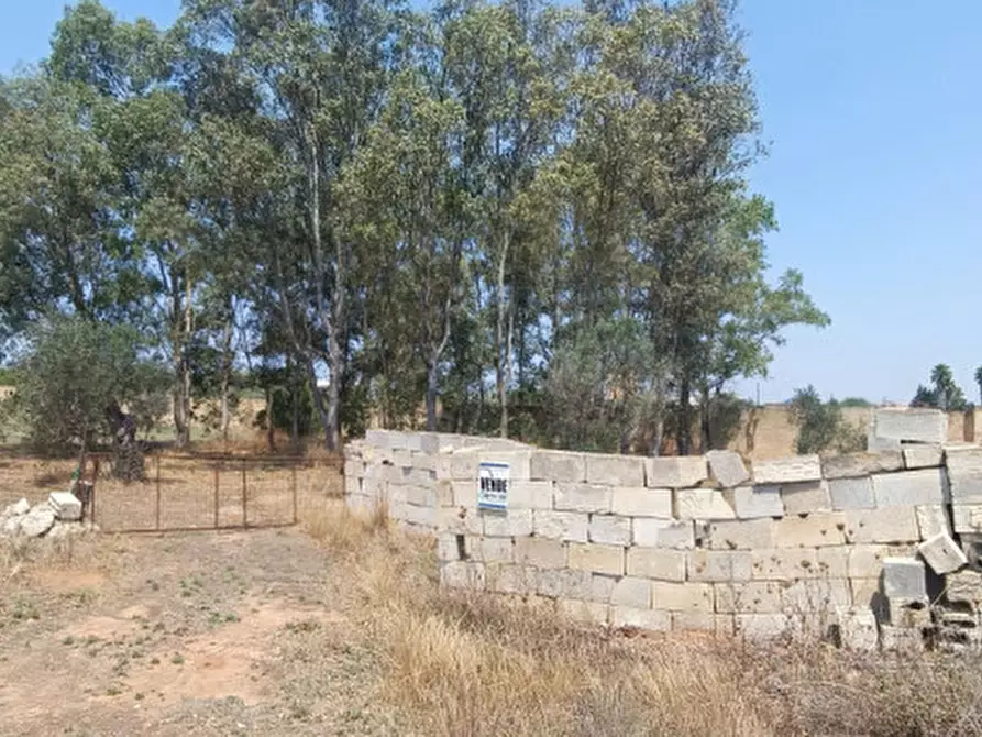 Immagine 1 di Terreno in vendita  in Strada Vicinale Arene Spririto Santo a Gallipoli