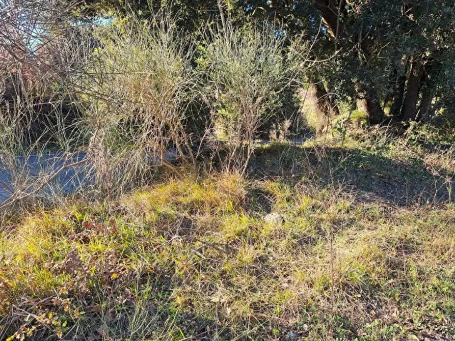 Immagine 8 di Appartamento in vendita  in Via Vittorio De Sica, N. 5-7 a Fiumicino