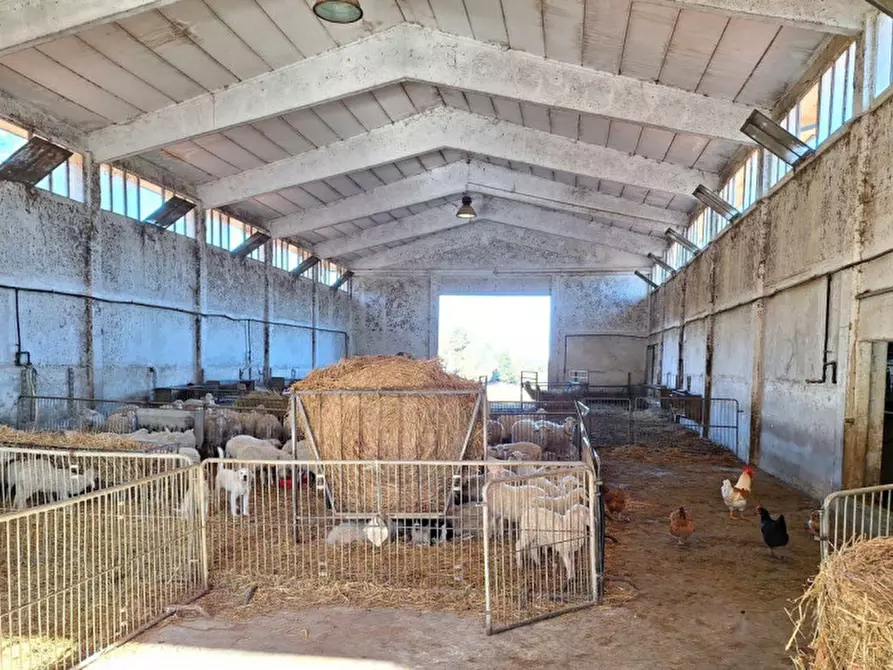 Immagine 2 di Appartamento in vendita  in Via Vittorio De Sica, N. 5-7 a Fiumicino